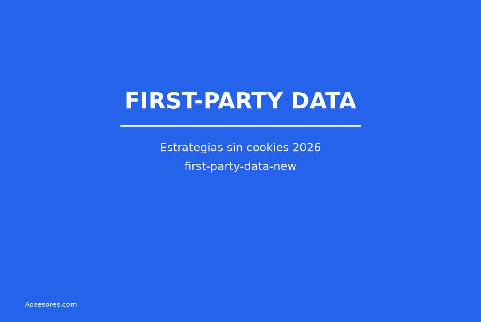 first party data new Asesores Consulting Google Ads