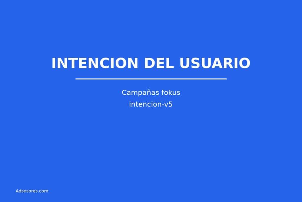 intencion v5 Asesores Consulting Google Ads