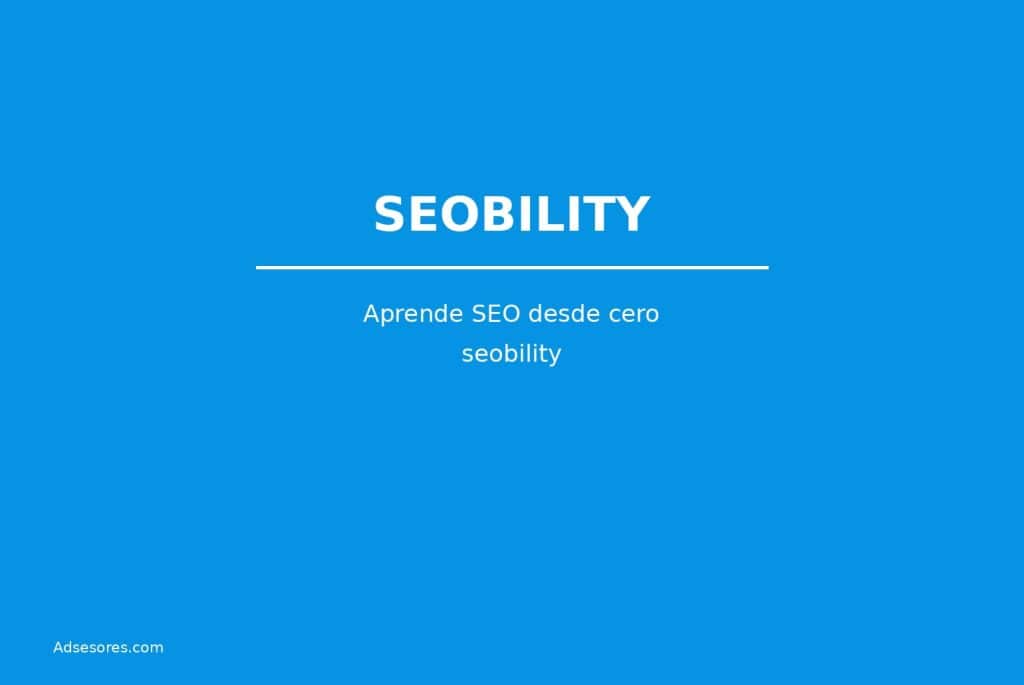 seobility Asesores Consulting Google Ads